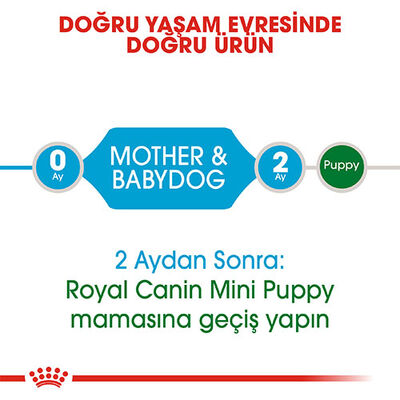 Royal Canin Mini Starter Mother & Babydog Küçük Irk Yavru Köpek Maması 4 Kg 