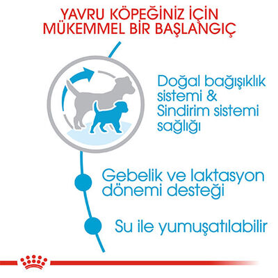 Royal Canin Mini Starter Mother & Babydog Küçük Irk Yavru Köpek Maması 4 Kg 