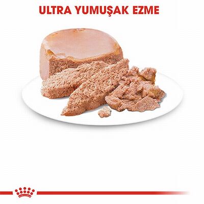 Royal Canin Mother Babycat Pate Yavru Kedi Konservesi 6 Adet 195 Gr 