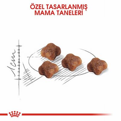 Royal Canin Mother & Babycat Yavru Kedi Maması 2 Kg 