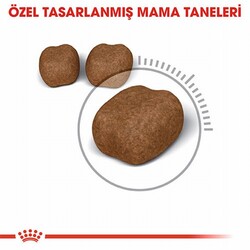 Royal Canin Oral Care Ağız Diş Sağlığı İçin Yetişkin Kedi Maması 1,5 Kg - Thumbnail