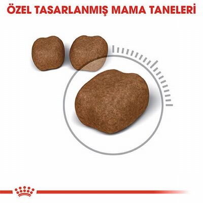 Royal Canin Oral Care Ağız Diş Sağlığı İçin Yetişkin Kedi Maması 1,5 Kg 