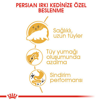Royal Canin Persian Adult İran Yetişkin Kedi Maması 10 Kg 