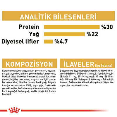 Royal Canin Persian Adult İran Yetişkin Kedi Maması 2 Kg 