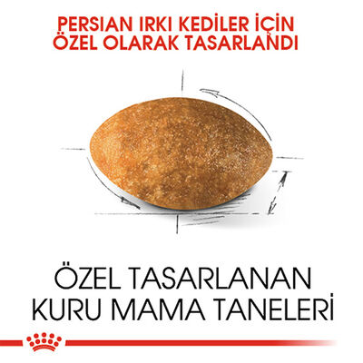 Royal Canin Persian Adult İran Yetişkin Kedi Maması 4 Kg 