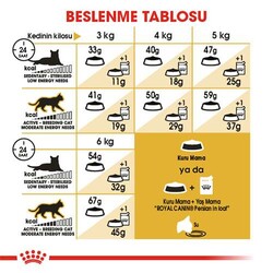 Royal Canin Persian Adult İran Yetişkin Kedi Maması 4 Kg - Thumbnail