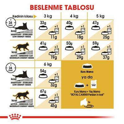 Royal Canin Persian Adult İran Yetişkin Kedi Maması 4 Kg 
