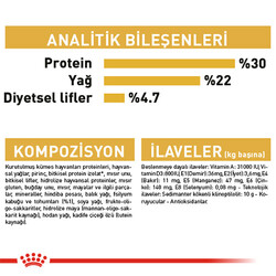 Royal Canin Persian Adult İran Yetişkin Kedi Maması 4 Kg - Thumbnail