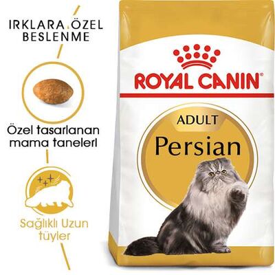 Royal Canin Persian Adult İran Yetişkin Kedi Maması 4 Kg 
