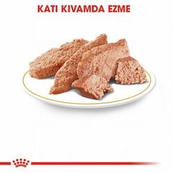 Royal Canin Persian Adult Pouch Yetişkin Kedi Konservesi 12 Adet 85 Gr - Thumbnail