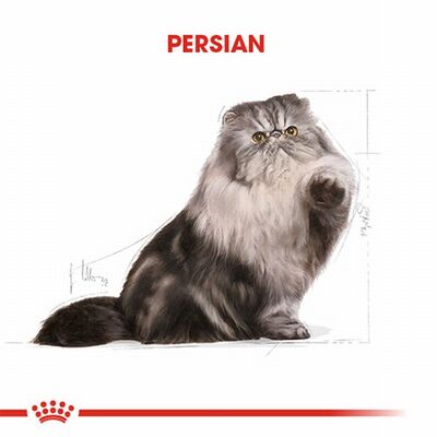 Royal Canin Persian Adult Pouch Yetişkin Kedi Konservesi 6 Adet 85 Gr 