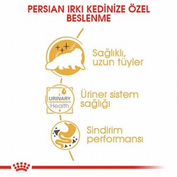Royal Canin Persian Adult Pouch Yetişkin Kedi Konservesi 6 Adet 85 Gr - Thumbnail