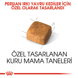Royal Canin Persian Kitten İran Yavru Kedi Maması 2 Kg - Thumbnail