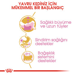 Royal Canin Persian Kitten İran Yavru Kedi Maması 2 Kg - Thumbnail