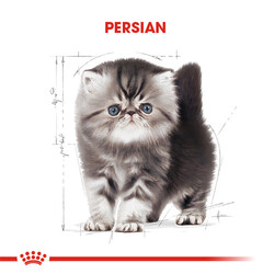 Royal Canin Persian Kitten İran Yavru Kedi Maması 2 Kg - Thumbnail