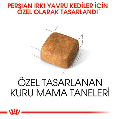 Royal Canin Persian Kitten İran Yavru Kedi Maması 2 Kg 