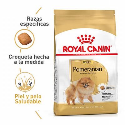 Royal Canin Pomeranian Adult Yetişkin Köpek Maması 1,5 Kg 