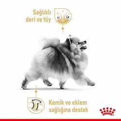 Royal Canin Pomeranian Adult Yetişkin Köpek Maması 1,5 Kg - Thumbnail