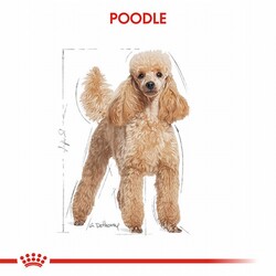 Royal Canin Poodle Adult Yetişkin Köpek Maması 3 Kg - Thumbnail