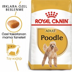 Royal Canin Poodle Adult Yetişkin Köpek Maması 3 Kg - Thumbnail