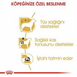 Royal Canin Poodle Pouch Adult Yetişkin Köpek Konservesi 85 Gr - Thumbnail