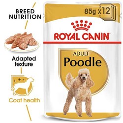 Royal Canin Poodle Pouch Adult Yetişkin Köpek Konservesi - Thumbnail