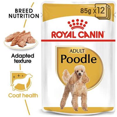 Royal Canin Poodle Pouch Adult Yetişkin Köpek Konservesi