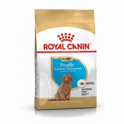 Royal Canin Köpek Mamaları - Royal Canin Poodle Puppy Yavru Köpek Maması 3 Kg 