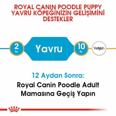 Royal Canin Poodle Puppy Yavru Köpek Maması 3 Kg 