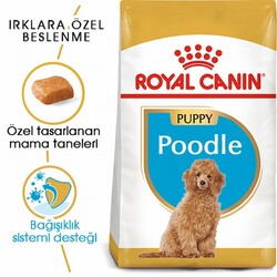 Royal Canin Poodle Puppy Yavru Köpek Maması 3 Kg - Thumbnail