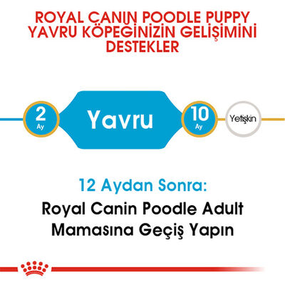 Royal Canin Poodle Puppy Yavru Köpek Maması
