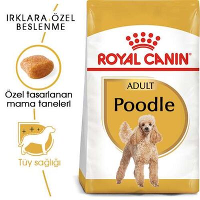 Royal Canin Poodle Adult Yetişkin Köpek Maması