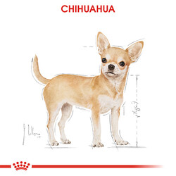 Royal Canin Pouch Chihuahua Adult Yetişkin Köpek Konservesi 12 Adet 85 Gr - Thumbnail
