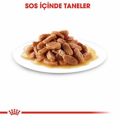 Royal Canin Pouch Kitten Gravy Yavru Kedi Konservesi 6 Adet 85 Gr 