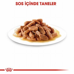 Royal Canin Pouch Kitten Gravy Yavru Kedi Konservesi 6 Adet 85 Gr - Thumbnail
