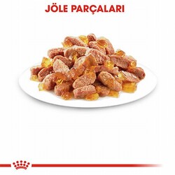 Royal Canin Pouch Kitten Jelly Yavru Kedi Konservesi 12 Adet 85 Gr - Thumbnail