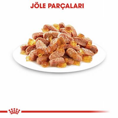 Royal Canin Pouch Kitten Jelly Yavru Kedi Konservesi 12 Adet 85 Gr 