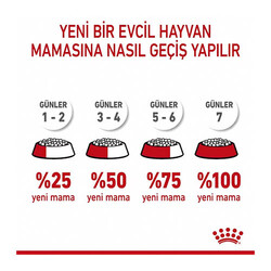 Royal Canin Pouch Kitten Sterilised Gravy Yavru Kedi Konservesi 12 Adet 85 Gr - Thumbnail