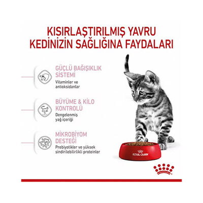 Royal Canin Pouch Kitten Sterilised Gravy Yavru Kedi Konservesi 12 Adet 85 Gr 
