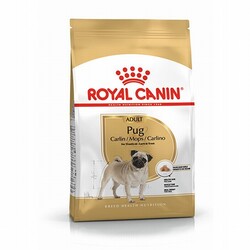 Royal Canin - Royal Canin Pug Adult Yetişkin Köpek Maması 1,5 Kg 