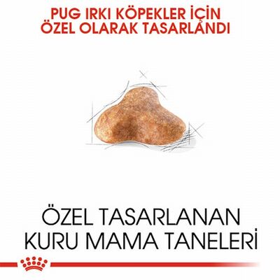Royal Canin Pug Adult Yetişkin Köpek Maması 1,5 Kg 