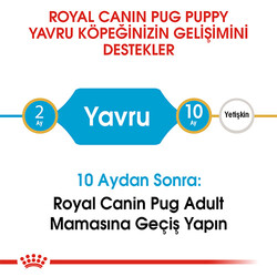 Royal Canın Pug Puppy Yavru Köpek Maması - Thumbnail