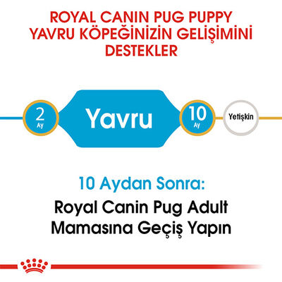 Royal Canın Pug Puppy Yavru Köpek Maması