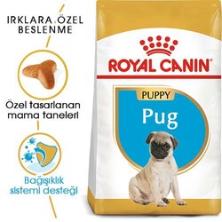 Royal Canın Pug Puppy Yavru Köpek Maması - Thumbnail