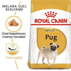 Royal Canin Pug Adult Yetişkin Köpek Maması - Thumbnail