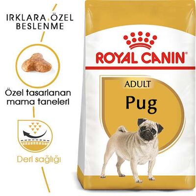 Royal Canin Pug Adult Yetişkin Köpek Maması