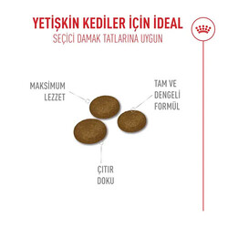 Royal Canin Fussy Exigent Seçici Kediler İçin Yetişkin Kedi Maması 2 Kg - Thumbnail