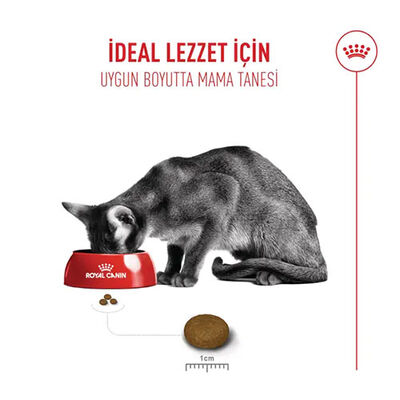 Royal Canin Fussy Exigent Seçici Kediler İçin Yetişkin Kedi Maması 2 Kg 