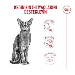 Royal Canin Fussy Exigent Seçici Kediler İçin Yetişkin Kedi Maması 2 Kg - Thumbnail