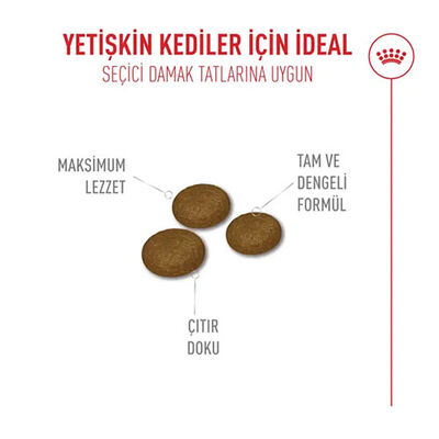 Royal Canin Fussy Exigent Seçici Kediler İçin Yetişkin Kedi Maması 2 Kg 